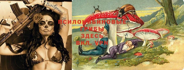 spice Киреевск