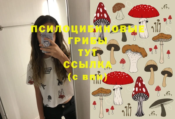 Альфа ПВП Верхний Тагил