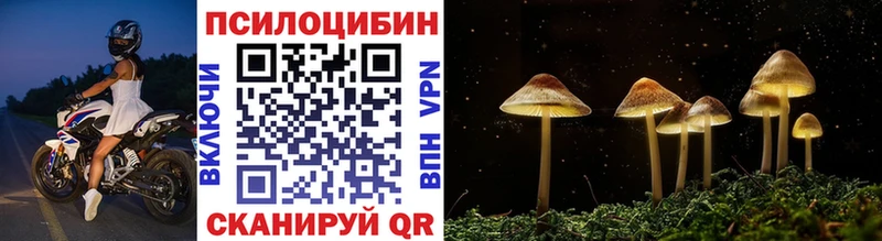 Галлюциногенные грибы Psilocybe наркошоп Гаврилов Посад